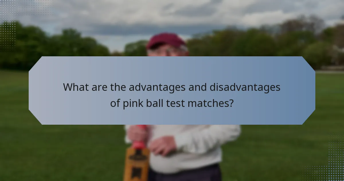 What are the advantages and disadvantages of pink ball test matches?