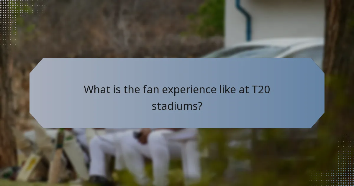What is the fan experience like at T20 stadiums?