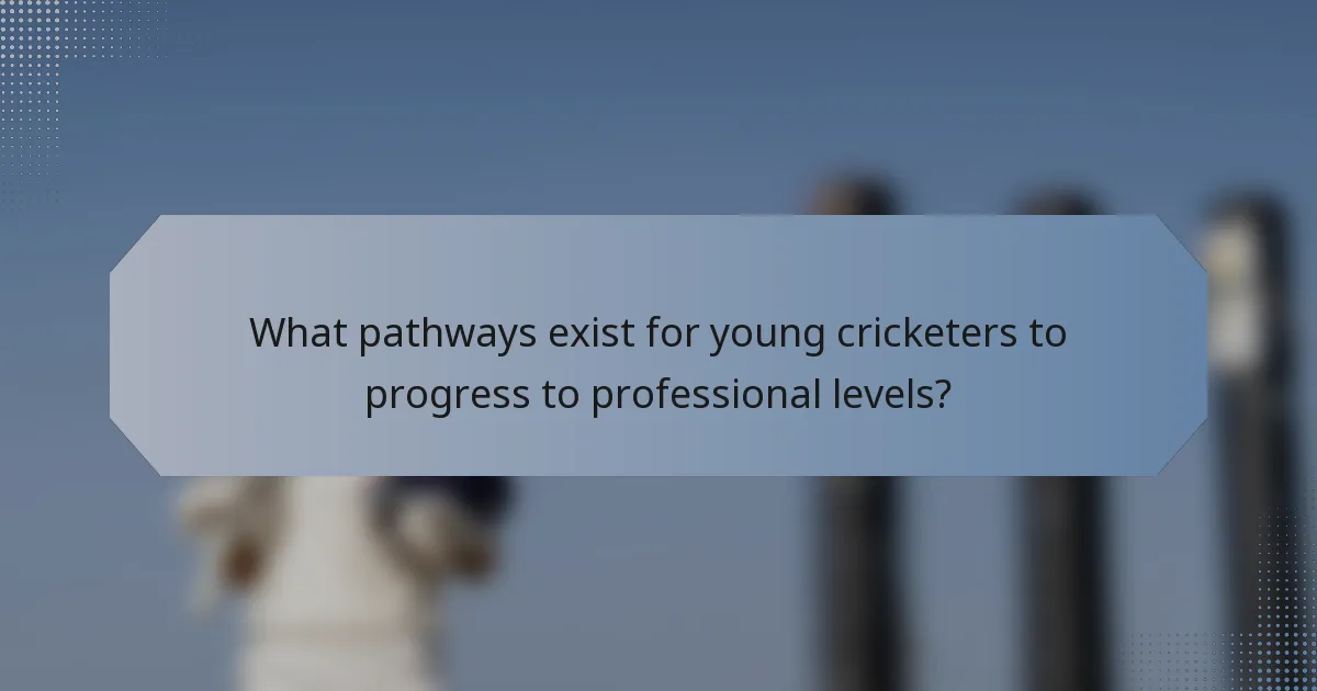 What pathways exist for young cricketers to progress to professional levels?