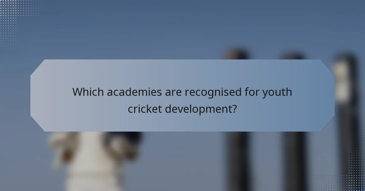 Which academies are recognised for youth cricket development?