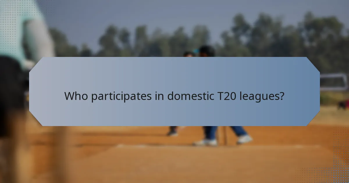 Who participates in domestic T20 leagues?